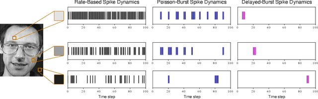 Figure 1 for Izhikevich-Inspired Temporal Dynamics for Enhancing Privacy, Efficiency, and Transferability in Spiking Neural Networks