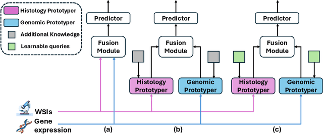 Figure 1 for Adaptive Prototype Learning for Multimodal Cancer Survival Analysis