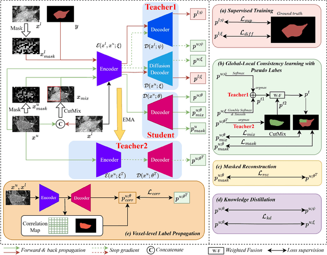 Figure 1 for Boosting Generic Semi-Supervised Medical Image Segmentation via Diverse Teaching and Label Propagation