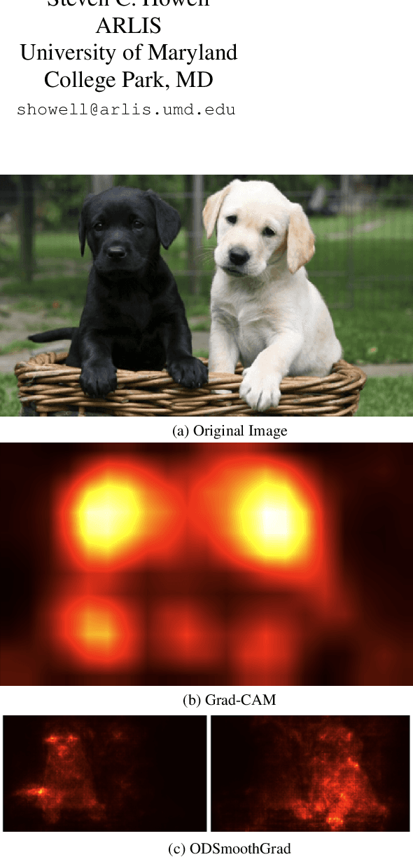Figure 1 for ODSmoothGrad: Generating Saliency Maps for Object Detectors