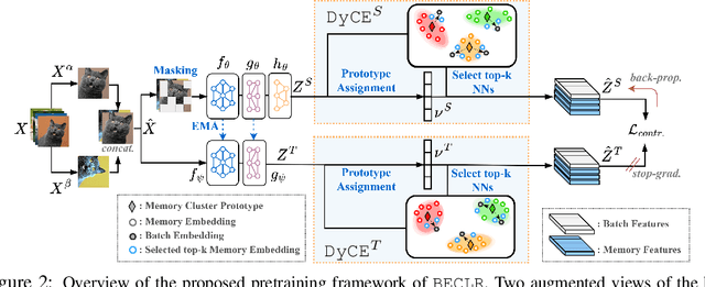 Figure 1 for BECLR: Batch Enhanced Contrastive Few-Shot Learning