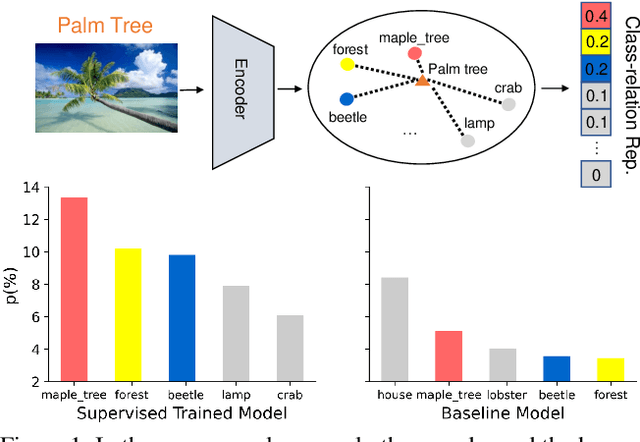 Figure 1 for Class-relation Knowledge Distillation for Novel Class Discovery