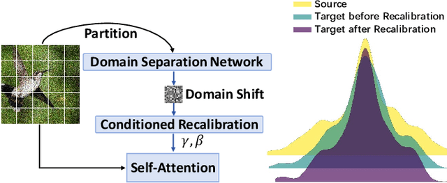 Figure 1 for Progressive Conditioned Scale-Shift Recalibration of Self-Attention for Online Test-time Adaptation