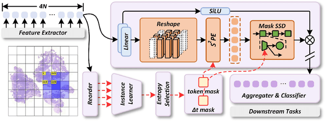 Figure 1 for MambaMIL+: Modeling Long-Term Contextual Patterns for Gigapixel Whole Slide Image
