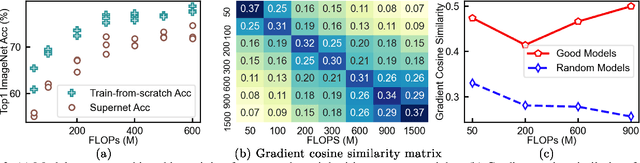 Figure 3 for ElasticViT: Conflict-aware Supernet Training for Deploying Fast Vision Transformer on Diverse Mobile Devices