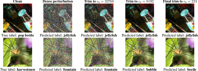 Figure 1 for Sparse patches adversarial attacks via extrapolating point-wise information