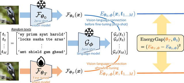 Figure 1 for Lipsum-FT: Robust Fine-Tuning of Zero-Shot Models Using Random Text Guidance