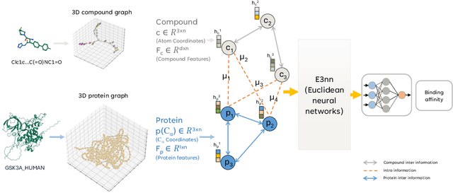 Figure 1 for EquiCPI: SE(3)-Equivariant Geometric Deep Learning for Structure-Aware Prediction of Compound-Protein Interactions