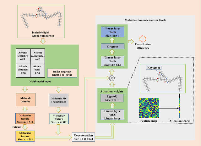 Figure 1 for TransMA: an explainable multi-modal deep learning model for predicting properties of ionizable lipid nanoparticles in mRNA delivery