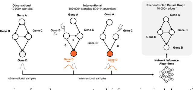 Figure 1 for CausalBench: A Large-scale Benchmark for Network Inference from Single-cell Perturbation Data