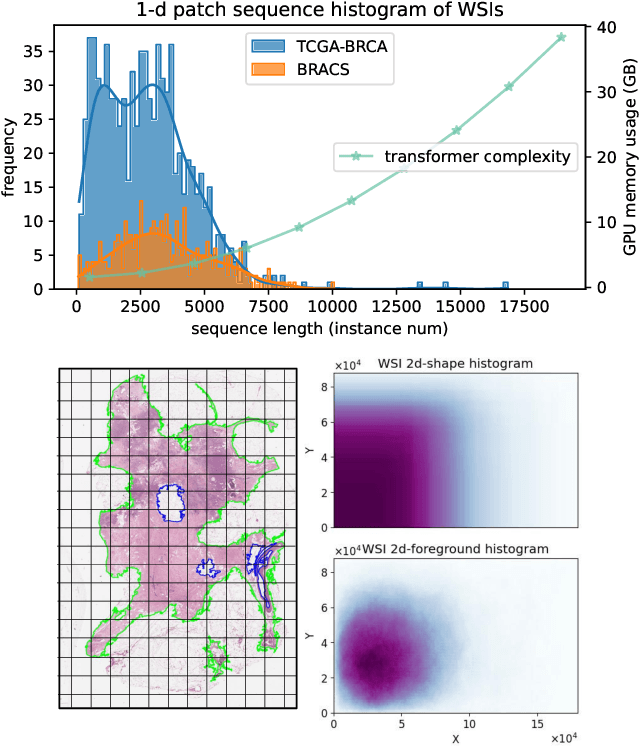 Figure 1 for Long-MIL: Scaling Long Contextual Multiple Instance Learning for Histopathology Whole Slide Image Analysis