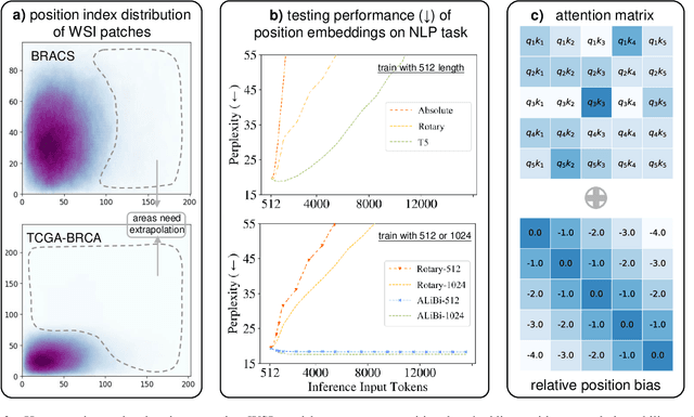 Figure 3 for Long-MIL: Scaling Long Contextual Multiple Instance Learning for Histopathology Whole Slide Image Analysis