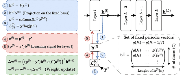 Figure 1 for LLS: Local Learning Rule for Deep Neural Networks Inspired by Neural Activity Synchronization
