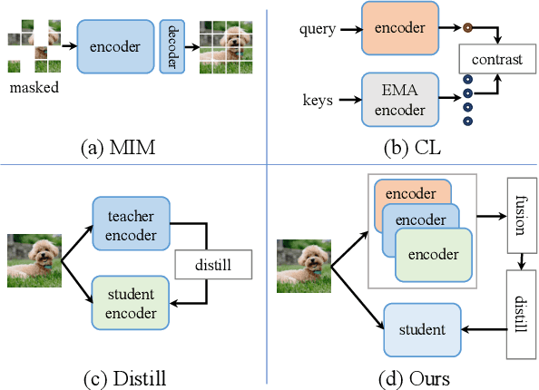 Figure 1 for DMT: Comprehensive Distillation with Multiple Self-supervised Teachers