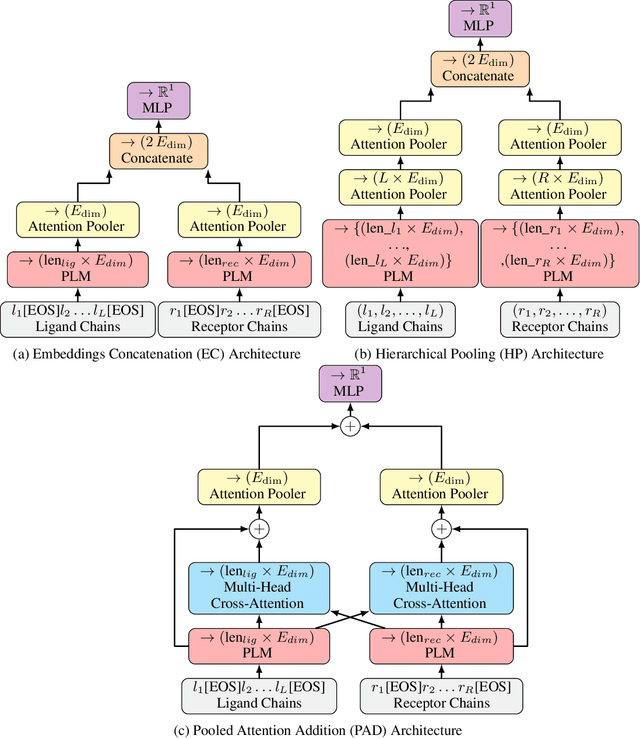 Figure 1 for Beyond Simple Concatenation: Fairly Assessing PLM Architectures for Multi-Chain Protein-Protein Interactions Prediction