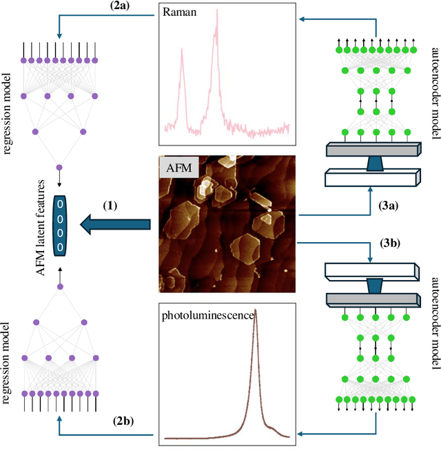 Figure 3 for Cross-Modal Characterization of Thin Film MoS$_2$ Using Generative Models