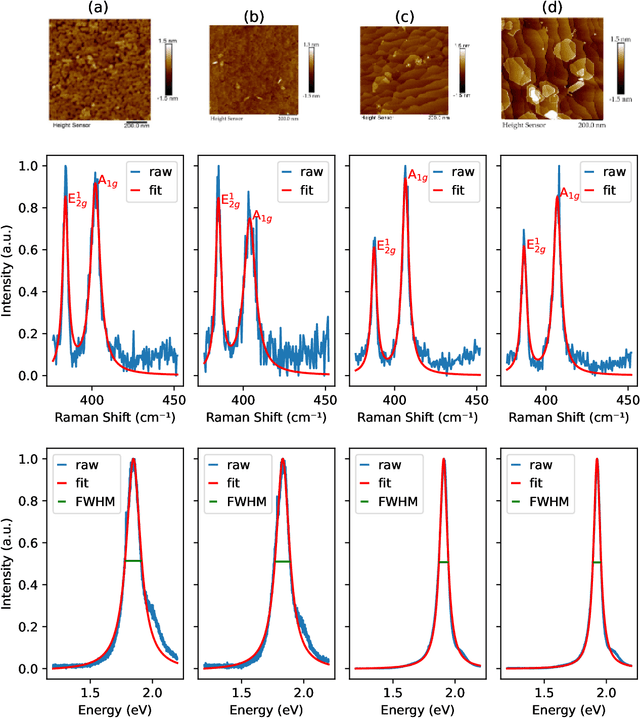 Figure 1 for Cross-Modal Characterization of Thin Film MoS$_2$ Using Generative Models