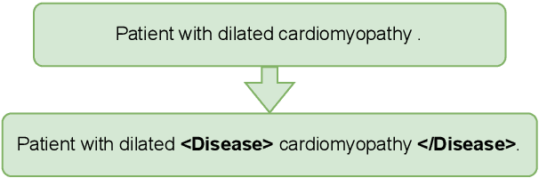 Figure 2 for Medical mT5: An Open-Source Multilingual Text-to-Text LLM for The Medical Domain