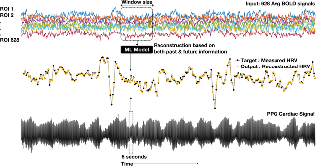 Figure 1 for Direct Estimation of Pediatric Heart Rate Variability from BOLD-fMRI: A Machine Learning Approach Using Dynamic Connectivity