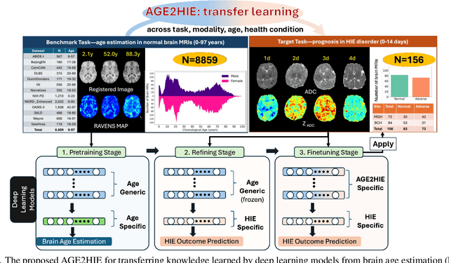 Figure 1 for AGE2HIE: Transfer Learning from Brain Age to Predicting Neurocognitive Outcome for Infant Brain Injury