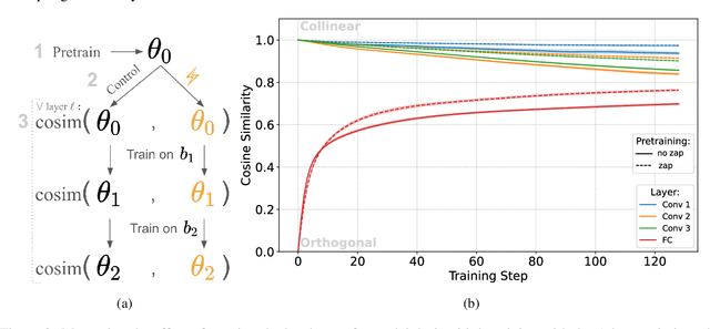 Figure 3 for How Weight Resampling and Optimizers Shape the Dynamics of Continual Learning and Forgetting in Neural Networks