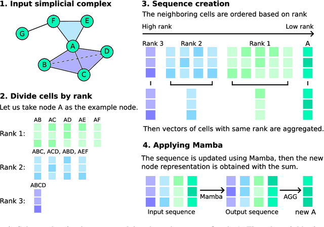 Figure 1 for Topological Deep Learning with State-Space Models: A Mamba Approach for Simplicial Complexes