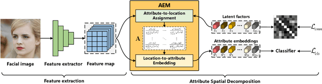 Figure 3 for ASD: Towards Attribute Spatial Decomposition for Prior-Free Facial Attribute Recognition