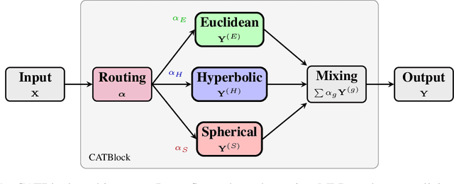 Figure 1 for CAT: Curvature-Adaptive Transformers for Geometry-Aware Learning