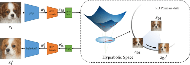 Figure 3 for The Euclidean Space is Evil: Hyperbolic Attribute Editing for Few-shot Image Generation