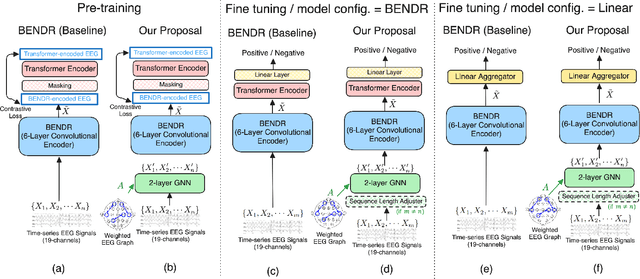 Figure 1 for Graph-Enhanced EEG Foundation Model