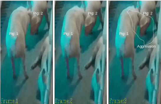 Figure 3 for Pig aggression classification using CNN, Transformers and Recurrent Networks