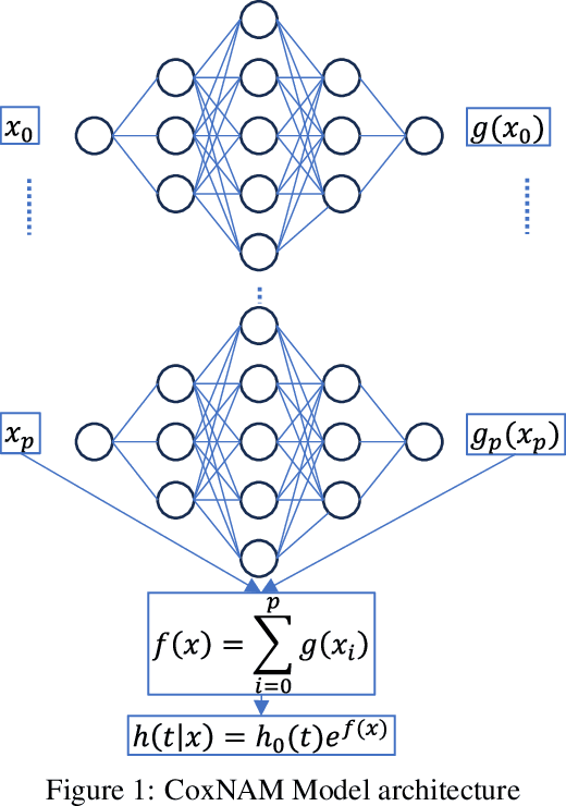 Figure 1 for CoxSE: Exploring the Potential of Self-Explaining Neural Networks with Cox Proportional Hazards Model for Survival Analysis