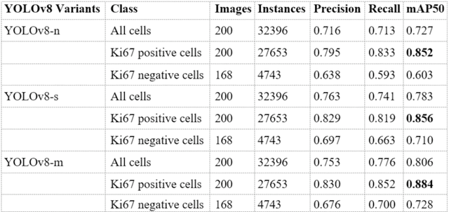 Figure 2 for Single Shot AI-assisted quantification of KI-67 proliferation index in breast cancer