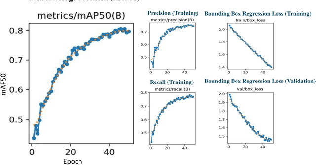 Figure 3 for Single Shot AI-assisted quantification of KI-67 proliferation index in breast cancer
