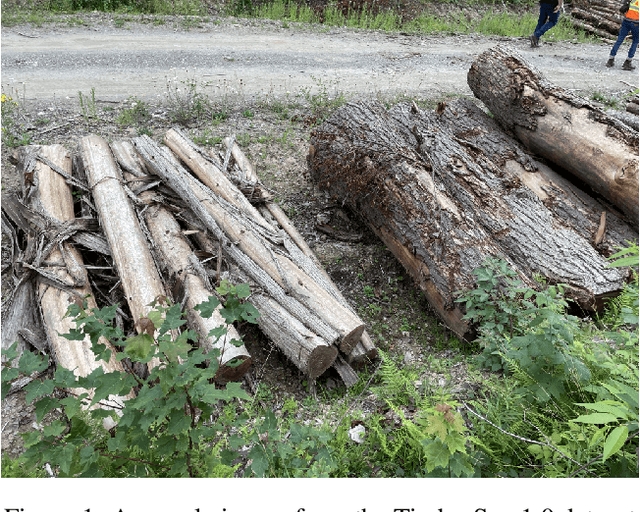 Figure 1 for A Low-Cost Machine Learning Approach for Timber Diameter Estimation