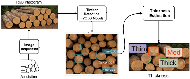 Figure 3 for A Low-Cost Machine Learning Approach for Timber Diameter Estimation