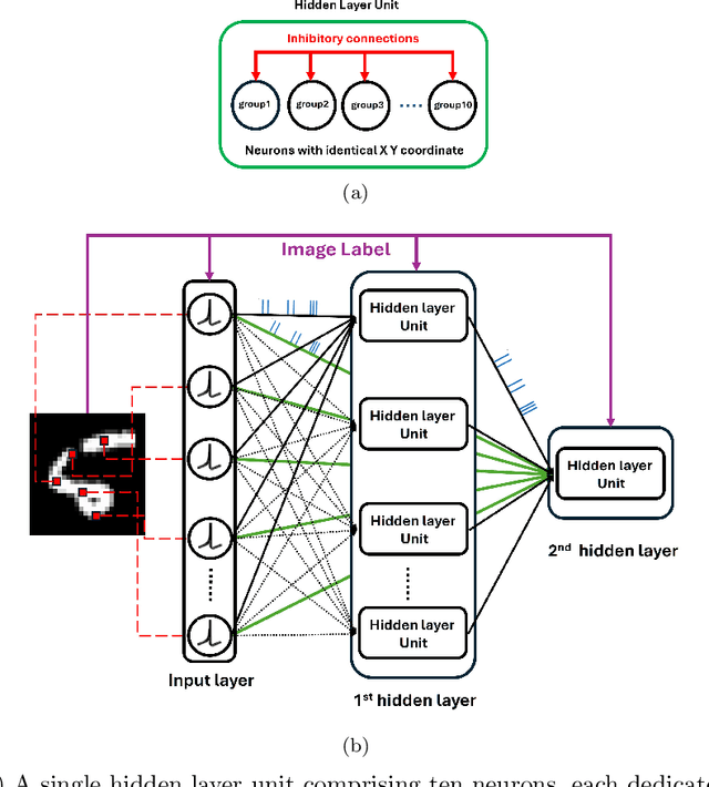 Figure 1 for Gradient-Free Supervised Learning using Spike-Timing-Dependent Plasticity for Image Recognition