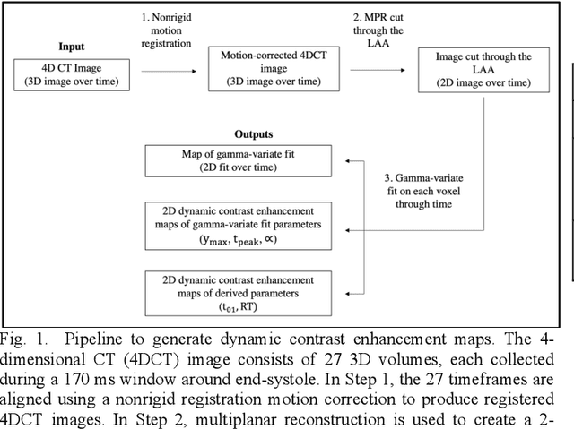 Figure 1 for Estimation of Blood Flow Parameters in the Left Atrial Appendage from 4DCT Dynamic Contrast Enhancement