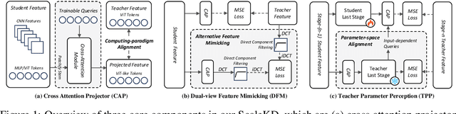 Figure 1 for ScaleKD: Strong Vision Transformers Could Be Excellent Teachers