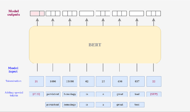 Figure 1 for Can persistent homology whiten Transformer-based black-box models? A case study on BERT compression