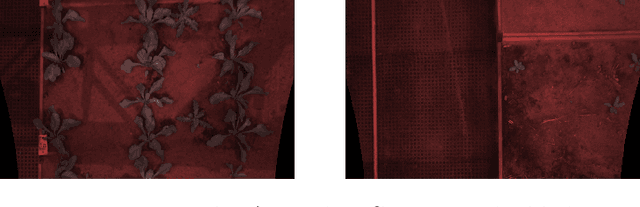 Figure 3 for Exploring Model Quantization in GenAI-based Image Inpainting and Detection of Arable Plants