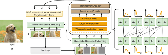 Figure 1 for Stochastic Vision Transformers with Wasserstein Distance-Aware Attention