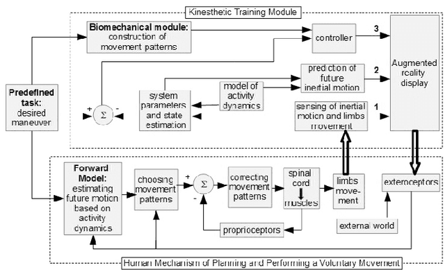 Figure 1 for An Automatic Control System with Human-in-the-Loop for Training Skydiving Maneuvers: Proof-of-Concept Experiment
