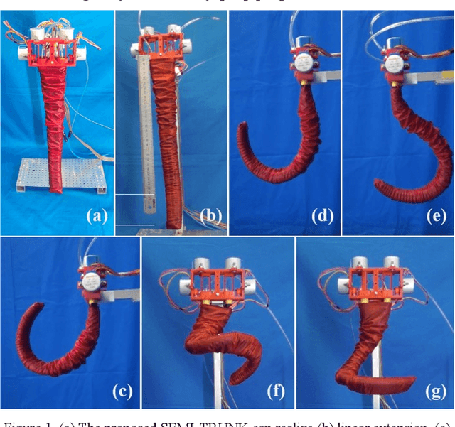 Figure 1 for Soft Pneumatic Actuator Capable of Generating Various Bending and Extension Motions Inspired by an Elephant Trunk