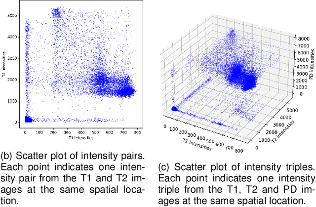 Figure 3 for $\mathcal{X}$-Metric: An N-Dimensional Information-Theoretic Framework for Groupwise Registration and Deep Combined Computing