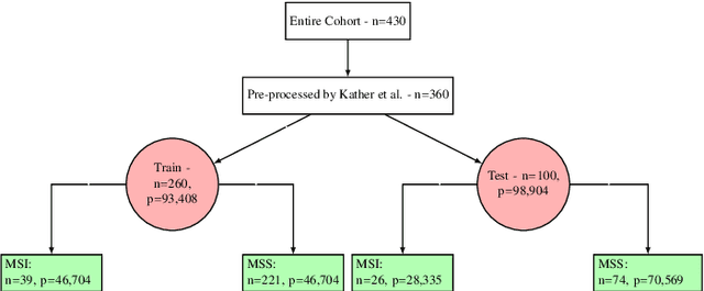 Figure 3 for CIMIL-CRC: a clinically-informed multiple instance learning framework for patient-level colorectal cancer molecular subtypes classification from H\&E stained images