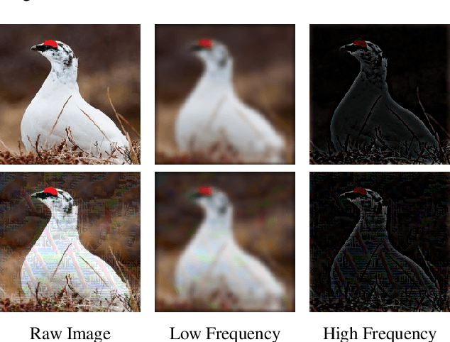 Figure 1 for LFAA: Crafting Transferable Targeted Adversarial Examples with Low-Frequency Perturbations