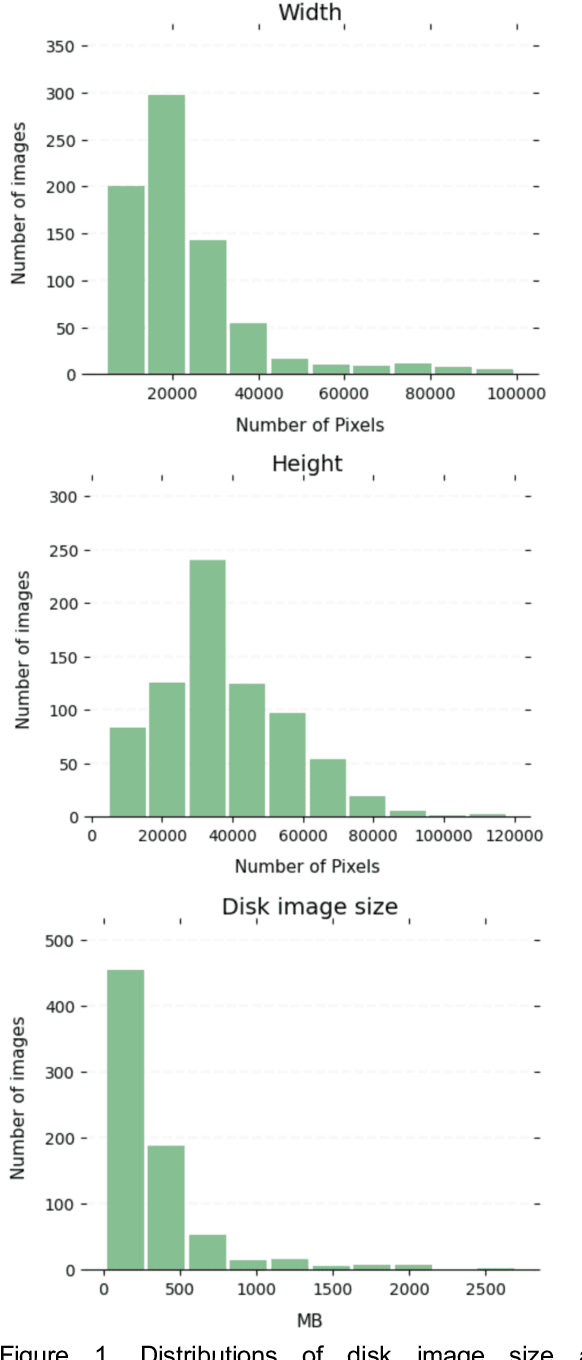 Figure 1 for Image Classification of Stroke Blood Clot Origin using Deep Convolutional Neural Networks and Visual Transformers