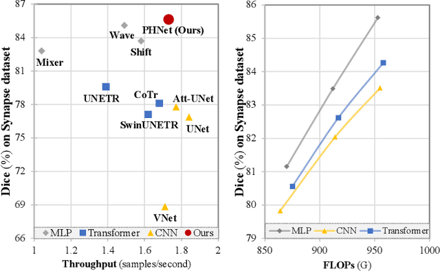Figure 1 for A Permutable Hybrid Network for Volumetric Medical Image Segmentation