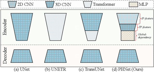 Figure 2 for A Permutable Hybrid Network for Volumetric Medical Image Segmentation